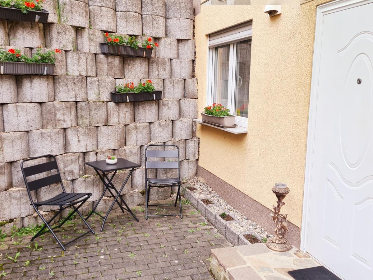 Apartment Koblenz コブレンツ エクステリア 写真