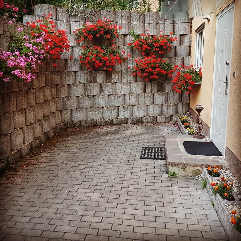 Apartment Koblenz コブレンツ エクステリア 写真